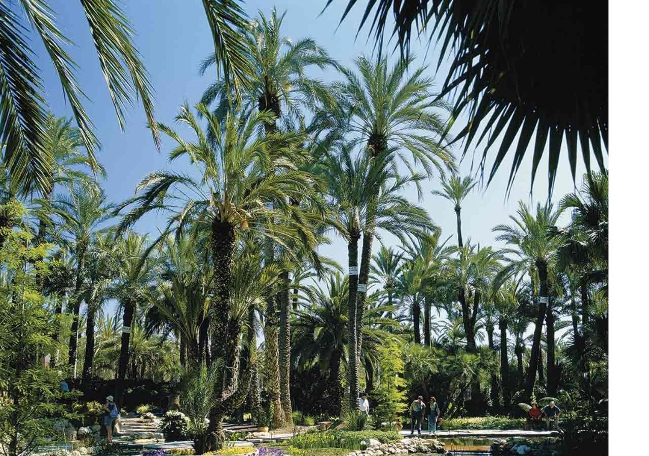 Luxury New Apartment City Centre & Beach, Alicante Eksteriør billede